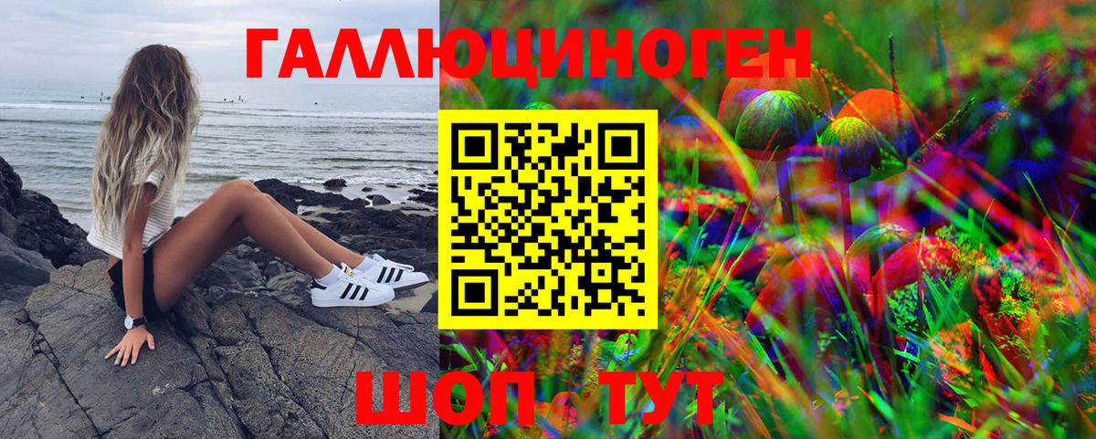 Галлюциногенные грибы мухоморы  продажа наркотиков  Норильск  Вход с VPN 
