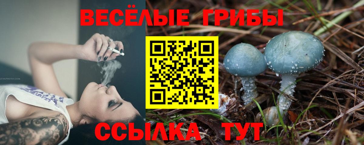 Псилоцибиновые грибы ЛСД Норильск